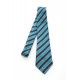 Castletroy College School Tie (Full)